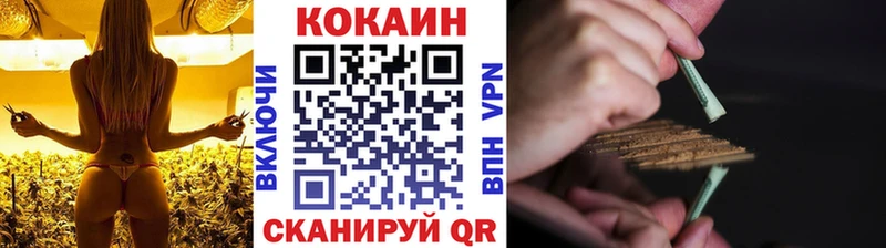 где найти наркотики  Сельцо  COCAIN Fish Scale 