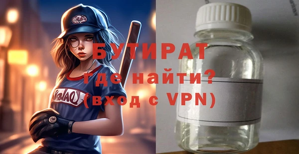 хмурый Пересвет