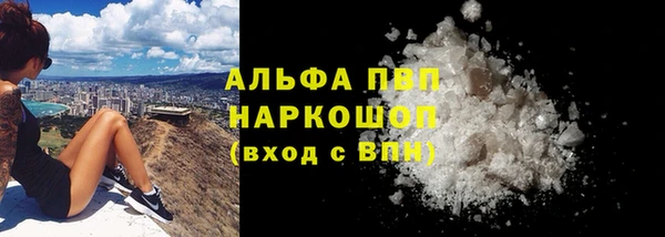 хмурый Пересвет