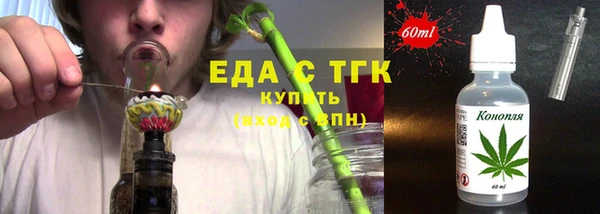 хмурый Пересвет