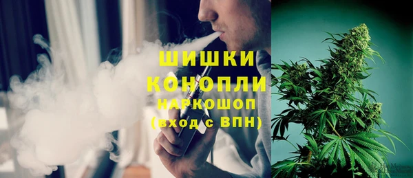 хмурый Пересвет