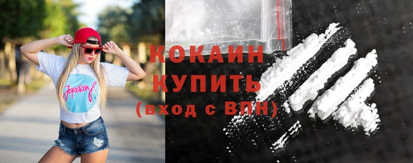 хмурый Пересвет